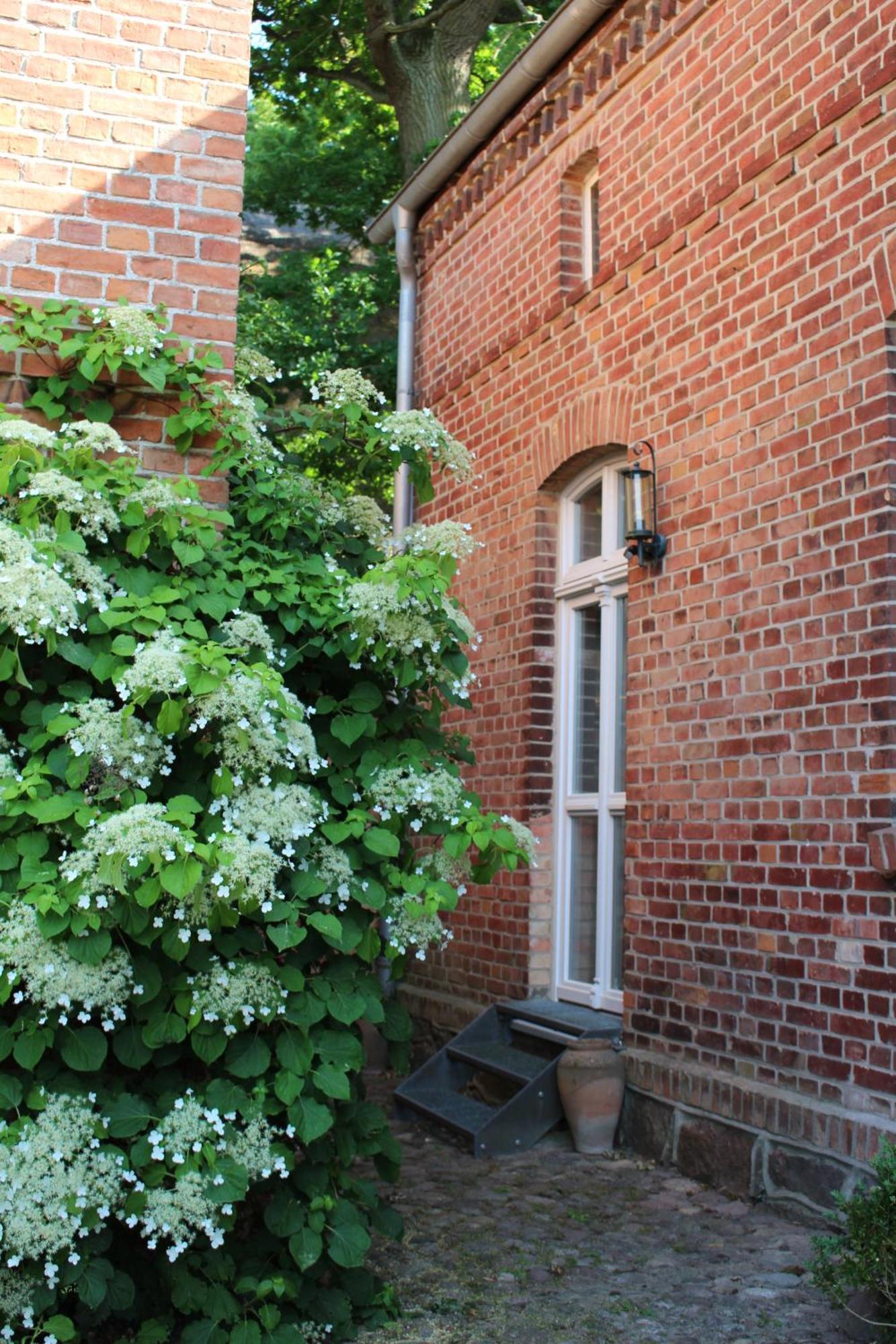 Ferienwohnung Buchholz Buchholz  Exterior foto